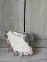 Shell Candle L