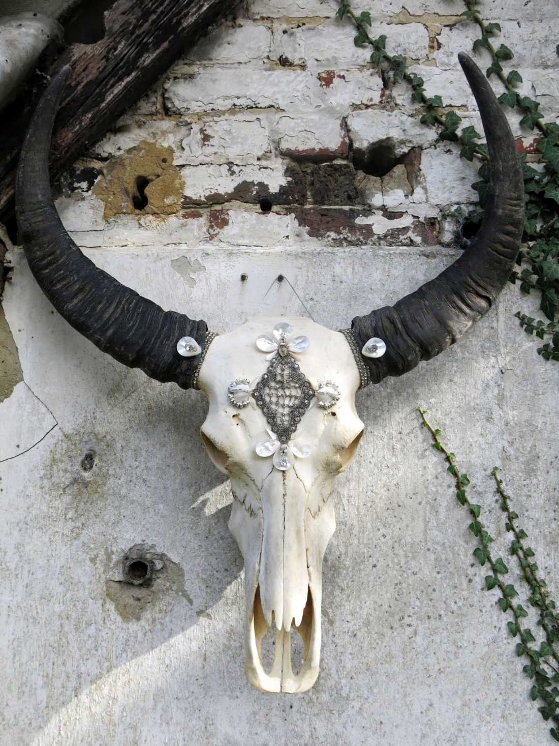 Decorative Thai buffalo skull wall art with natural black horns, ornate silver beadwork, freshwater pearl embellishments, and shell accents displayed against a rustic brick wall.
