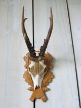 Antique Gold Beaded Roe Deer Skull