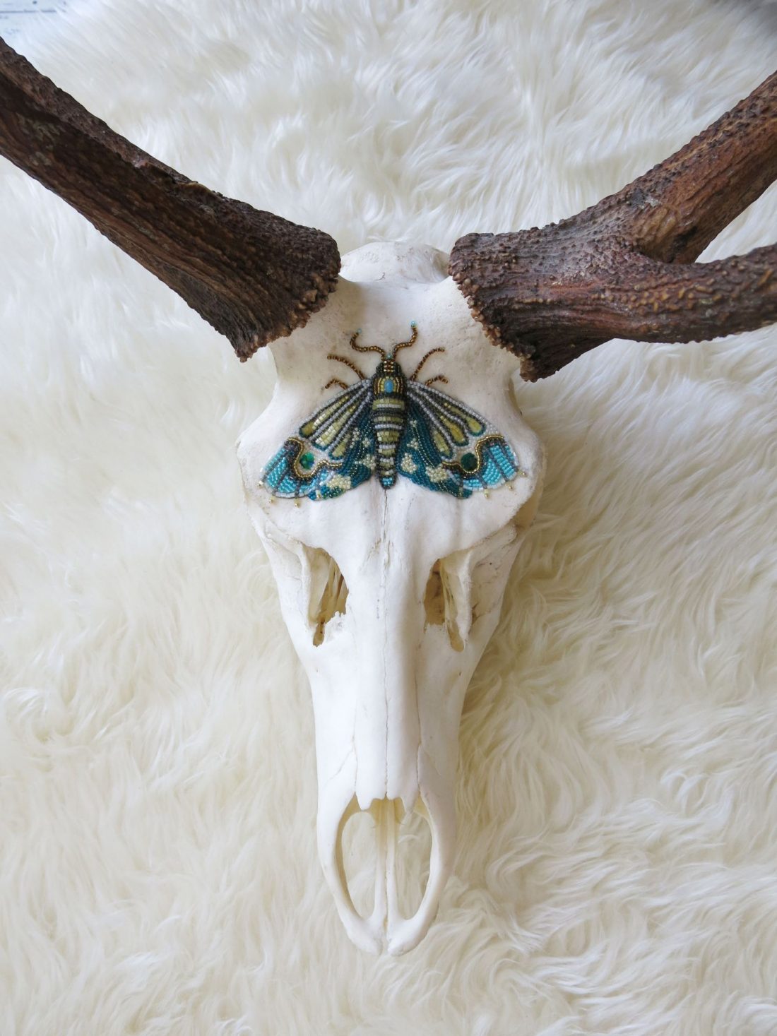Decorative deer skull wall art with natural antlers and a hand-beaded blue and turquoise moth design.