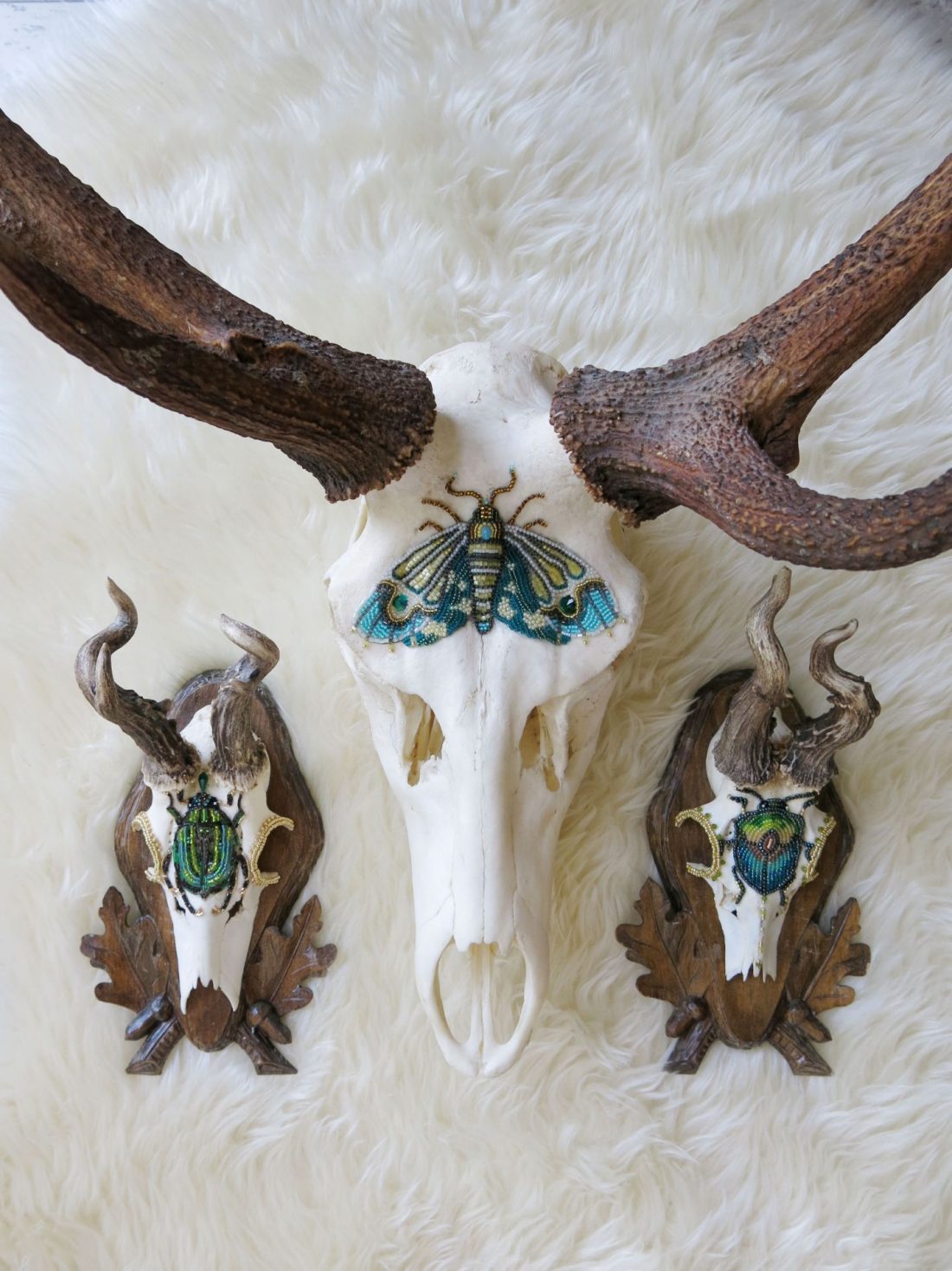 Decorative deer skull with hand-beaded moth artwork displayed alongside coordinating beaded skull wall décor.
