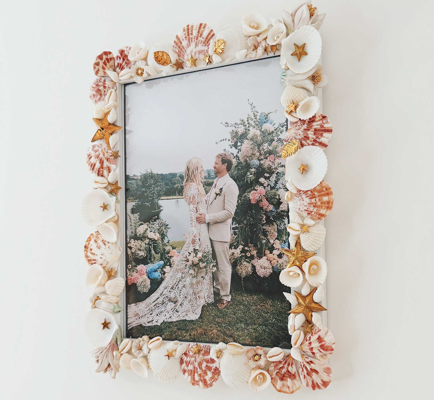 D&B DIY: THE COLLECTED SHELL FRAME