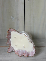 Shell Candle L