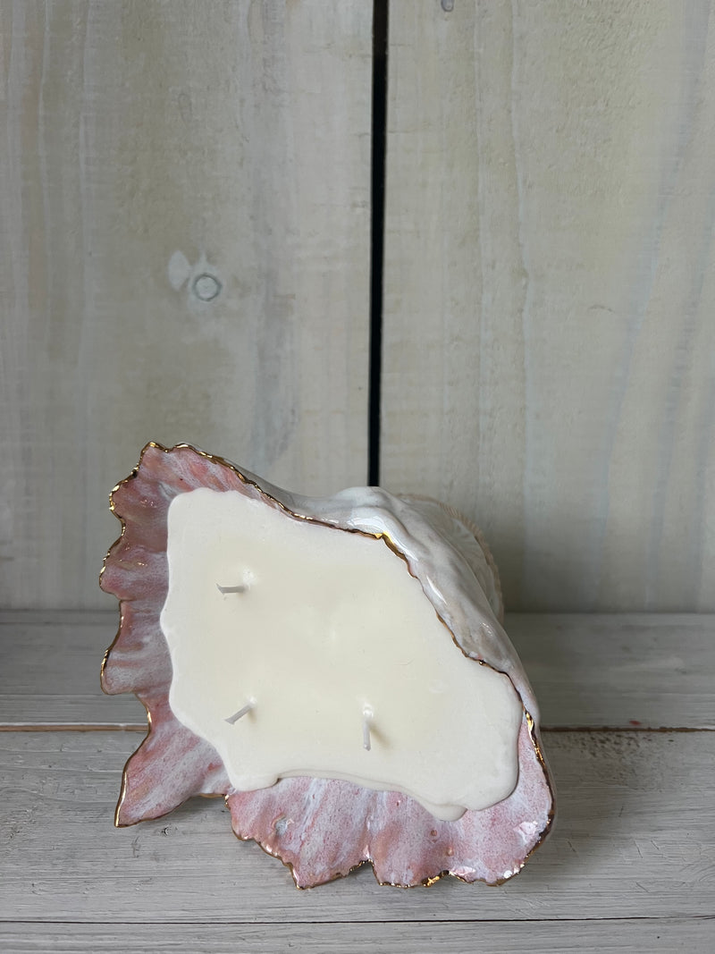 Shell Candle L