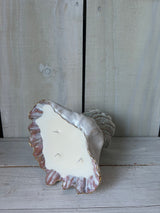 Shell Candle XL